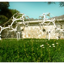 Fragile Encounter | legno di samba, gomma. 600x320x310 cm